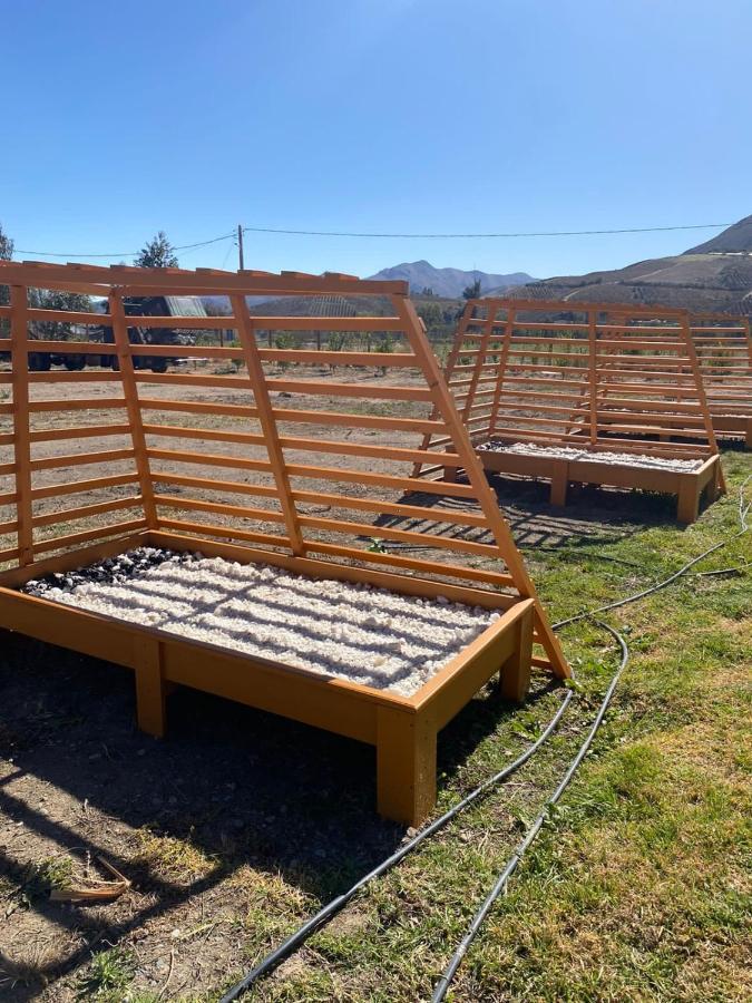 Cabanas Vicuna Cielo De Peralillo - Valle De Elqui 外观 照片